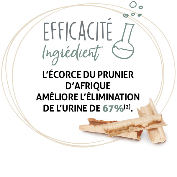 Prunier